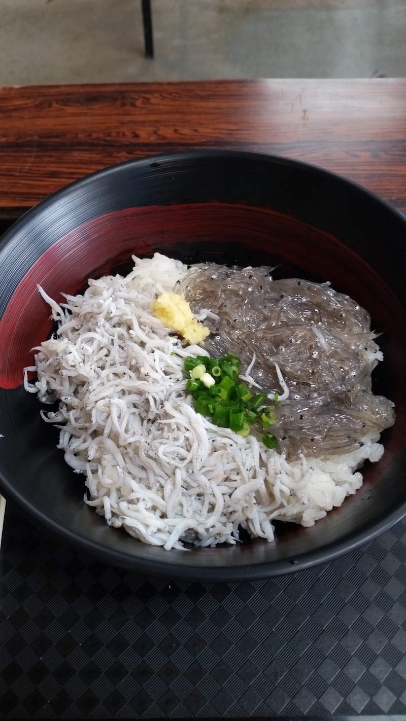 10/10 藤枝店 田子の浦 10/10 藤枝店 田子の浦