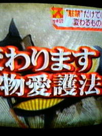 法律が変わる!