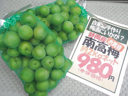 ビアンカンのイチオシは梅漬け用南高梅2キロ980円! ビアンカンのイチオシは梅漬け用南高梅2キロ980円!
