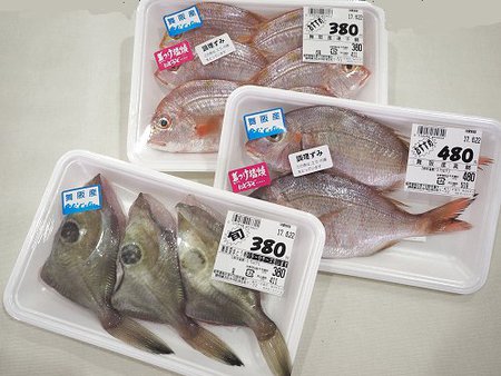 ビアンカンのイチオシは舞阪の地魚!ナス味噌炒め ビアンカンのイチオシは舞阪の地魚!ナス味噌炒め