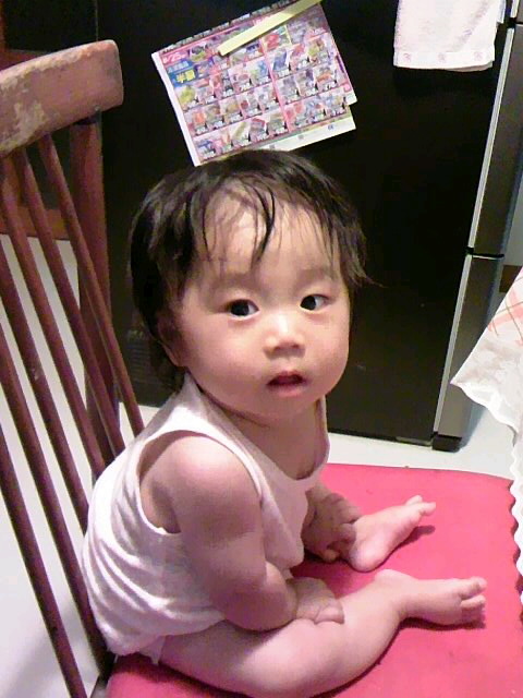 生まれ変わり?