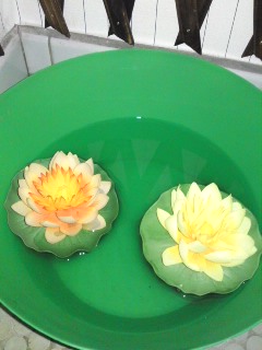 蓮の花