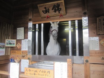 ツアー下見