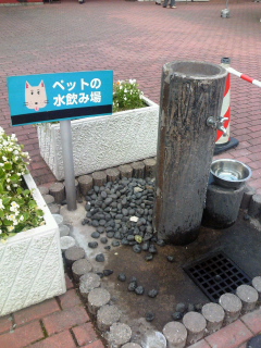 ペットの水飲み場?