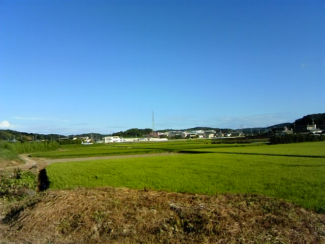 二週間前から毎日続いてます?