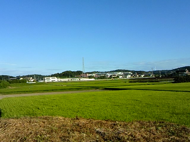 二週間前から毎日続いてます?