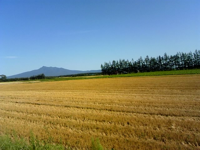 抜け道でも(北海道) 2☆