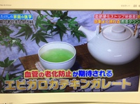たけしの家庭の医学SP   2017年7月11日放送　粉末緑茶のエピガロカテキンガレートが血管の老化をストップ！