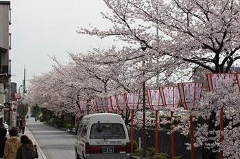 鴨川から宮川町へ