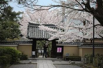 祇園から円山公園へ