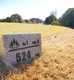 新年の挨拶