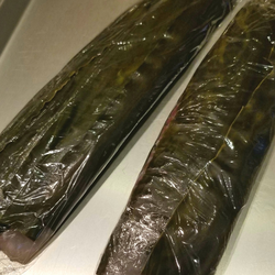 ヒラメを昆布締めへ