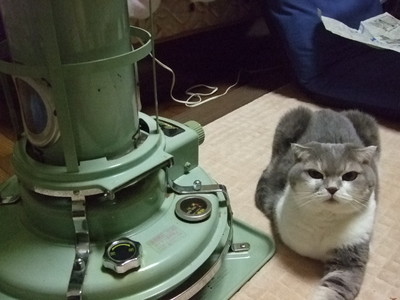 寒くなってきたので・・・