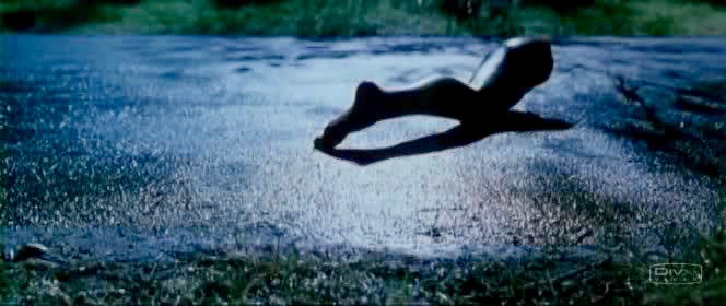 Death Proof Foot03 Death Proof Foot03