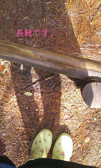 パステル合宿2012