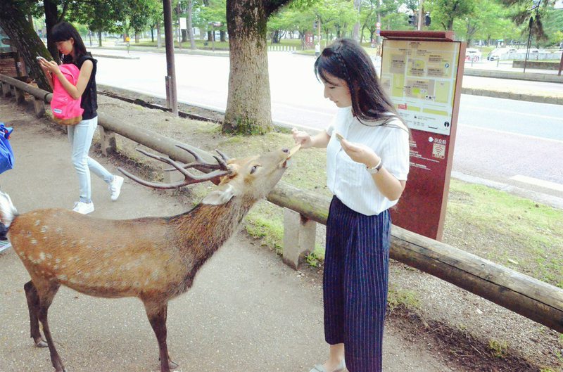 「中国と日本の架け橋になりたい」情報学を学んでいる中国出身の夏晨曦さん 「中国と日本の架け橋になりたい」情報学を学んでいる中国出身の夏晨曦さん