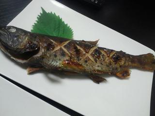 活用コラム～第３回～