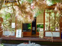 【11/18(土)・日本文化体験】茶歌舞伎・座禅を楽しめましょう in 舘山寺