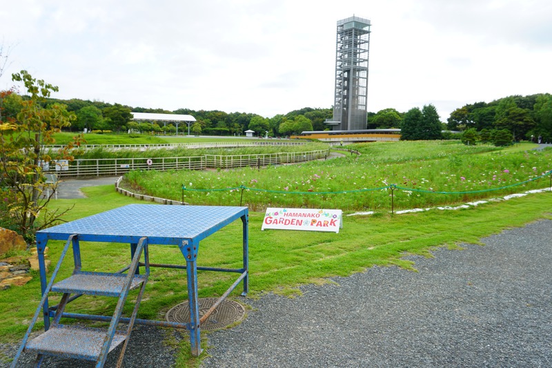 第一回浜名湖フォークフェスティバルは晴れ予報!花ひろばのコスモス咲きはじめる! 第一回浜名湖フォークフェスティバルは晴れ予報!花ひろばのコスモス咲きはじめる!
