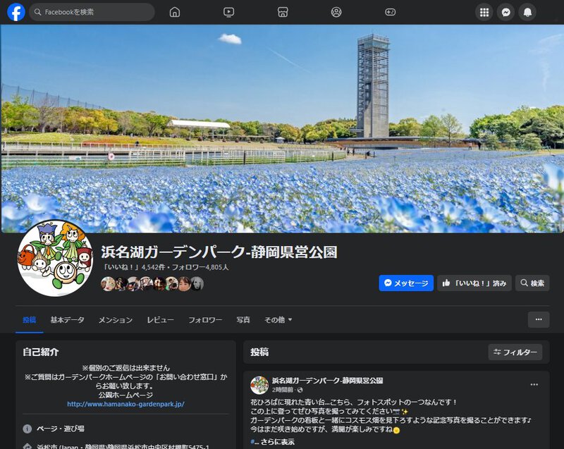 第一回浜名湖フォークフェスティバルは晴れ予報!花ひろばのコスモス咲きはじめる! 第一回浜名湖フォークフェスティバルは晴れ予報!花ひろばのコスモス咲きはじめる!