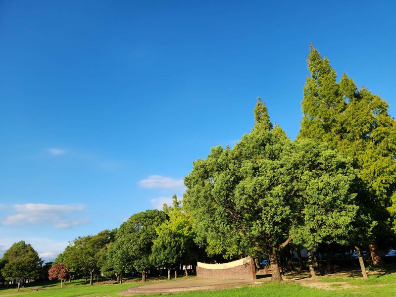 美薗中央公園管理棟にフライヤーオキオキいただきました! 美薗中央公園管理棟にフライヤーオキオキいただきました!