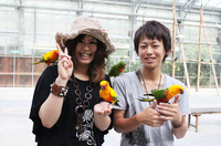 【掛川花鳥園】與鳥兒們近距離接觸、欣賞花卉的主題公園