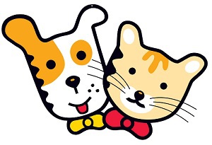 『husse japan 浜松』について 『husse japan 浜松』について