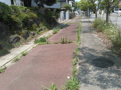 第5回東日本応援団