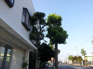 お休みのお知らせ