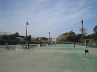 花川運動公園　テニスコート