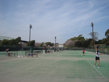 花川運動公園 テニスコート