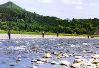 気田川の鮎釣り