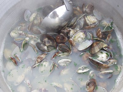 浜名湖アサリの貝汁!