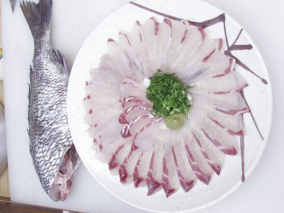 浜名湖黒鯛・釣り即食う