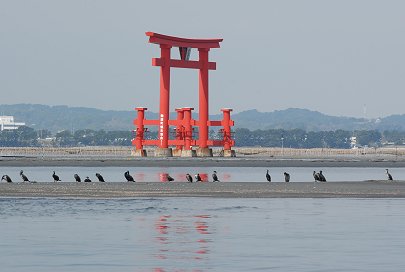 浜名湖ってどんなところ?