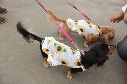 ありがとうございました