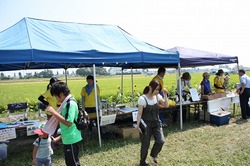 内野の畑 開花祭!!(29日)