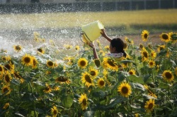 内野の畑 開花祭!!(29日)