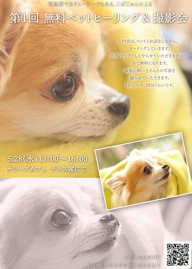 ペットヒーリングin静岡vol.1 ペットヒーリングin静岡vol.1
