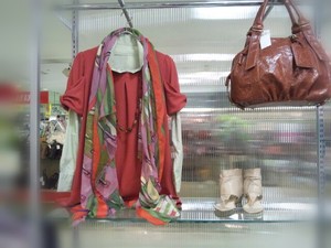 春といえば、コモノと眠気。