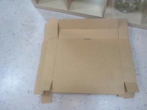 大発見。