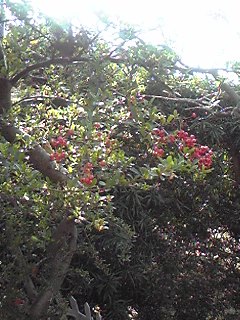 いいお天気♪