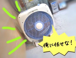 離れて気付くこともある。