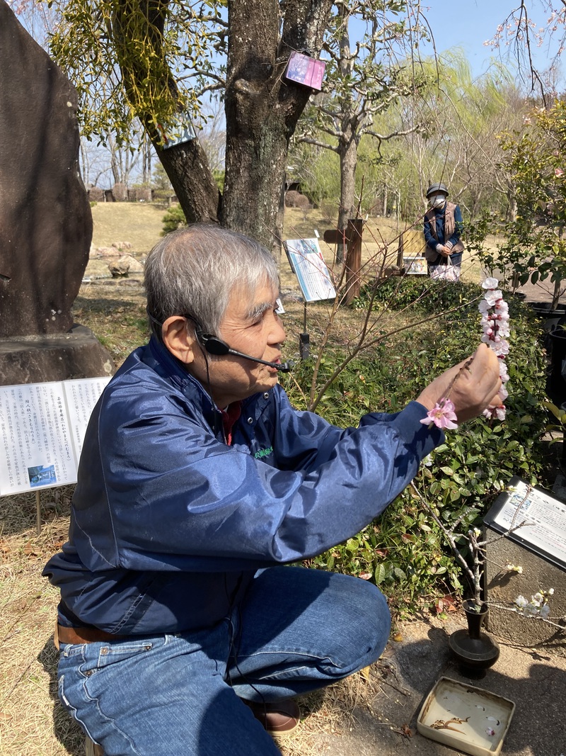 万葉の森公園の散策 万葉の森公園の散策