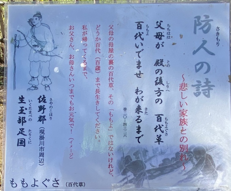 専門員とめぐる万葉の森公園 専門員とめぐる万葉の森公園