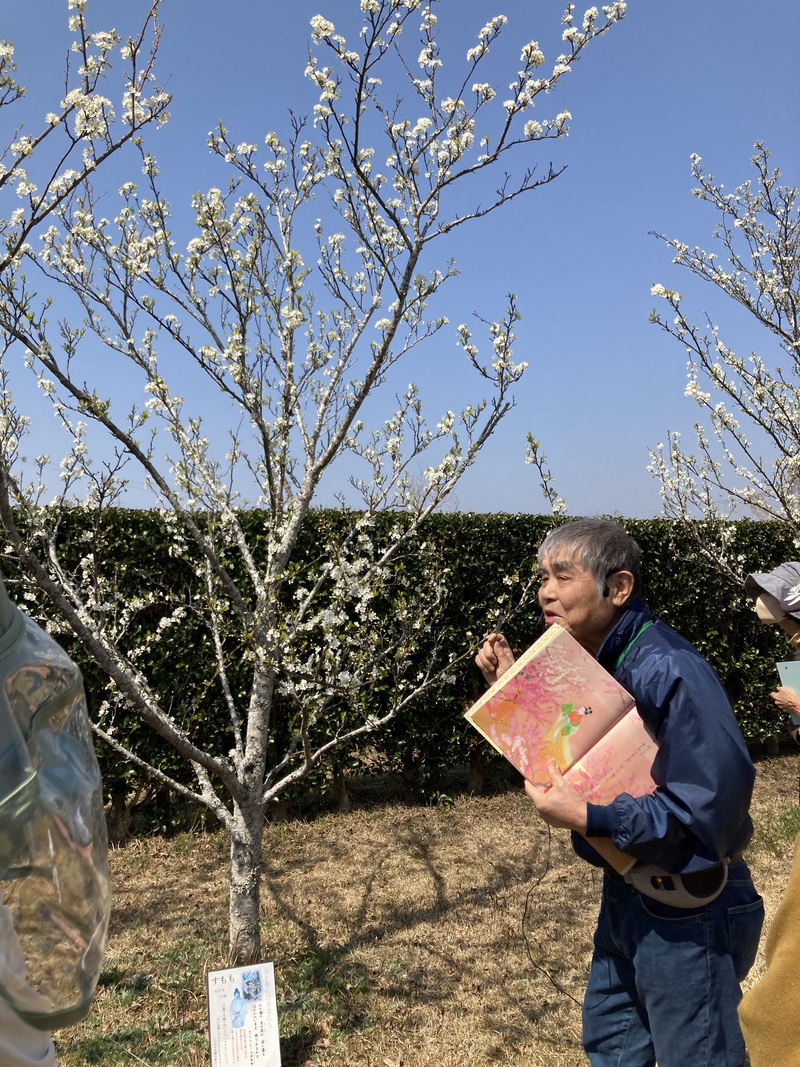 万葉の森公園の散策 万葉の森公園の散策