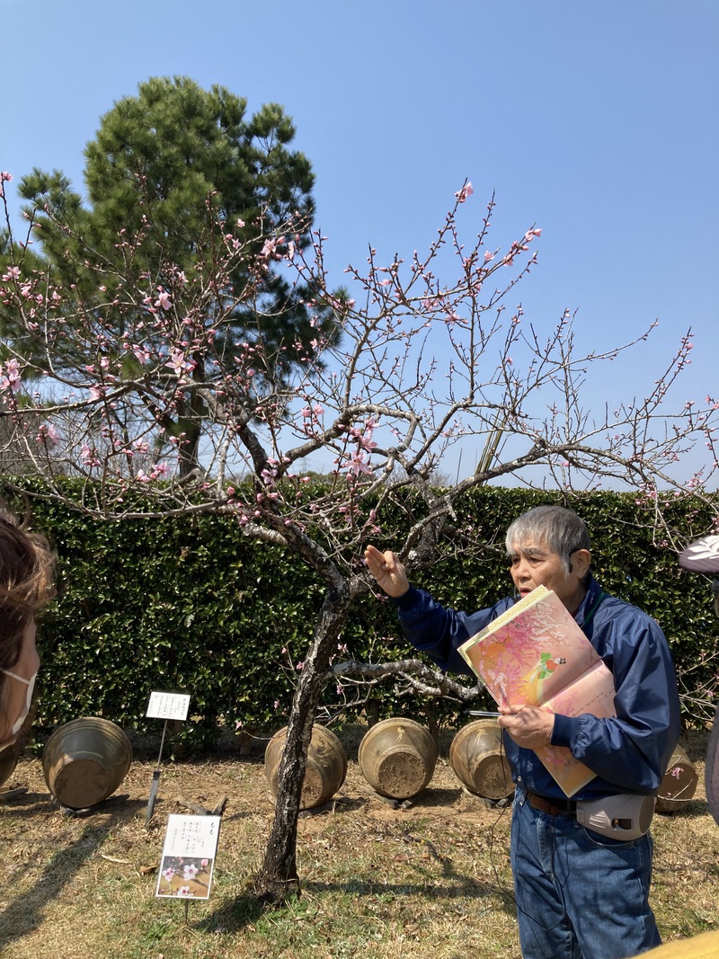 万葉の森公園の散策 万葉の森公園の散策