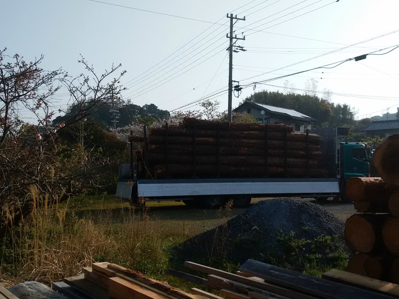 比叡山系より桧根付丸太ようやく製材所に到着しました。