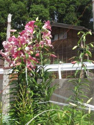 暑かった3連休でしたね