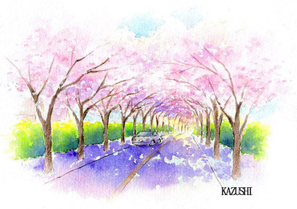 手描きパース描きます デザインオフィスアングル 伊豆高原の桜並木
